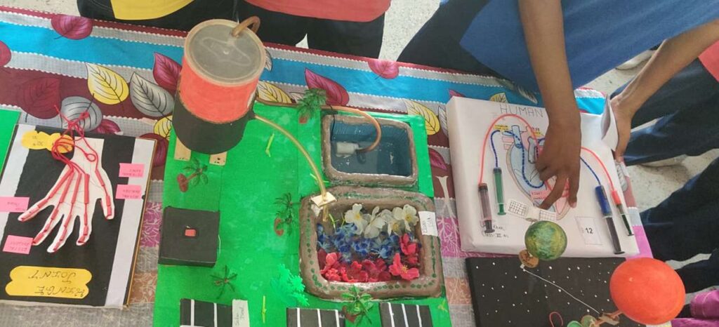 Science Fair Organize in School