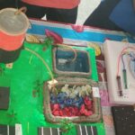 Science Fair Organize in School
